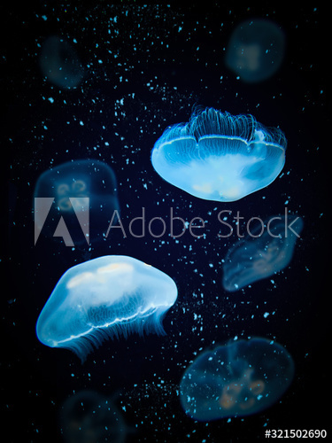 Audyt przedsiębiorstw